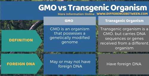 Organisme transgenik merupakan instilah bagi organisme hasil